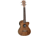 Tanglewood TWT 15 E Tanglewood TWT 15 E